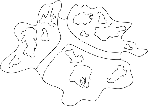 This map was built using 8 amoeba tracings, including the boundary.  Some are repeated more than once.