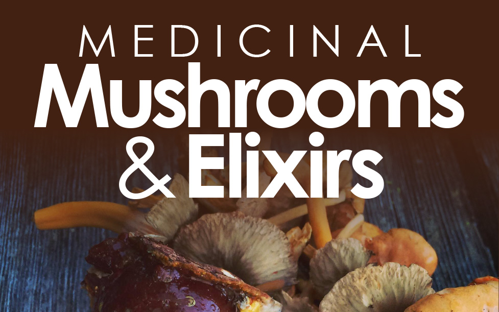 TALK @ Nanaimo: Medicinal Mushrooms & Elixirs