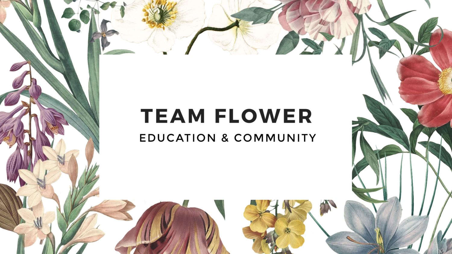 Team Flower