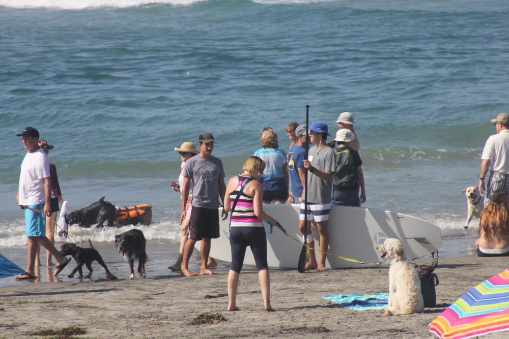 The SUP Connection was a proud sponsor on September 7th, 2014 in the Surf Dog Surf-A-Thon Del Mar Beach Rentals