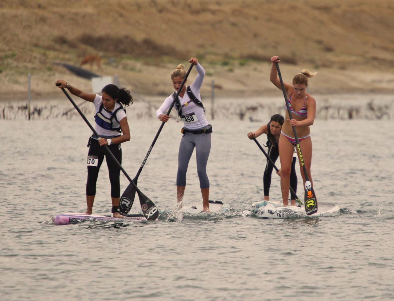 The future of women’s SUP racing looks bright; left-right: Erika, Alex, Jade and Shae (photo: Mike Muir)