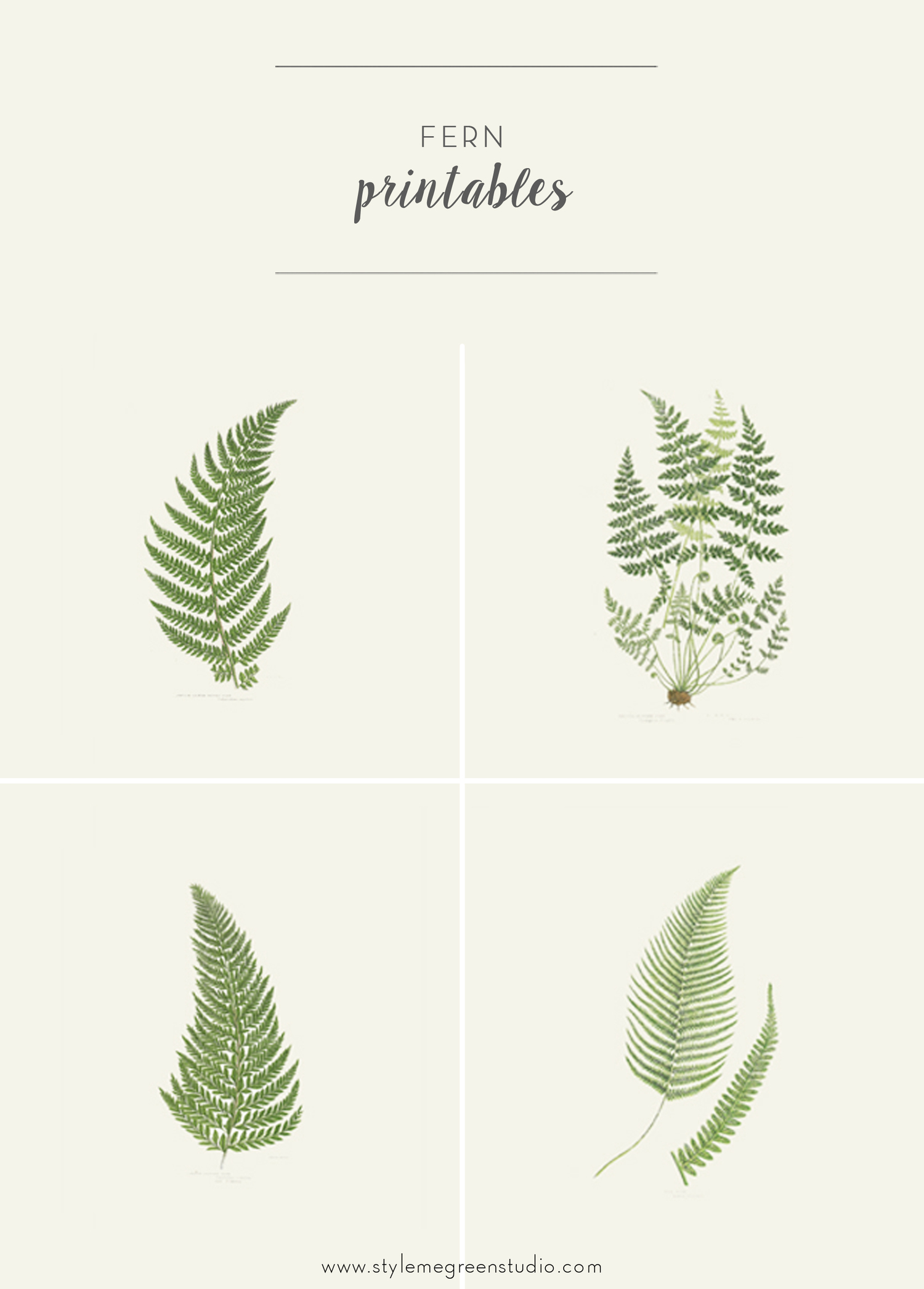 fern-collection-free-printables-style-me-green