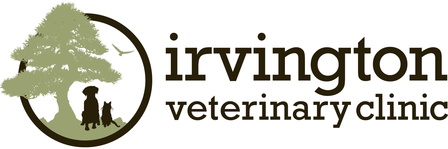 Irvington Veterinary Clinic