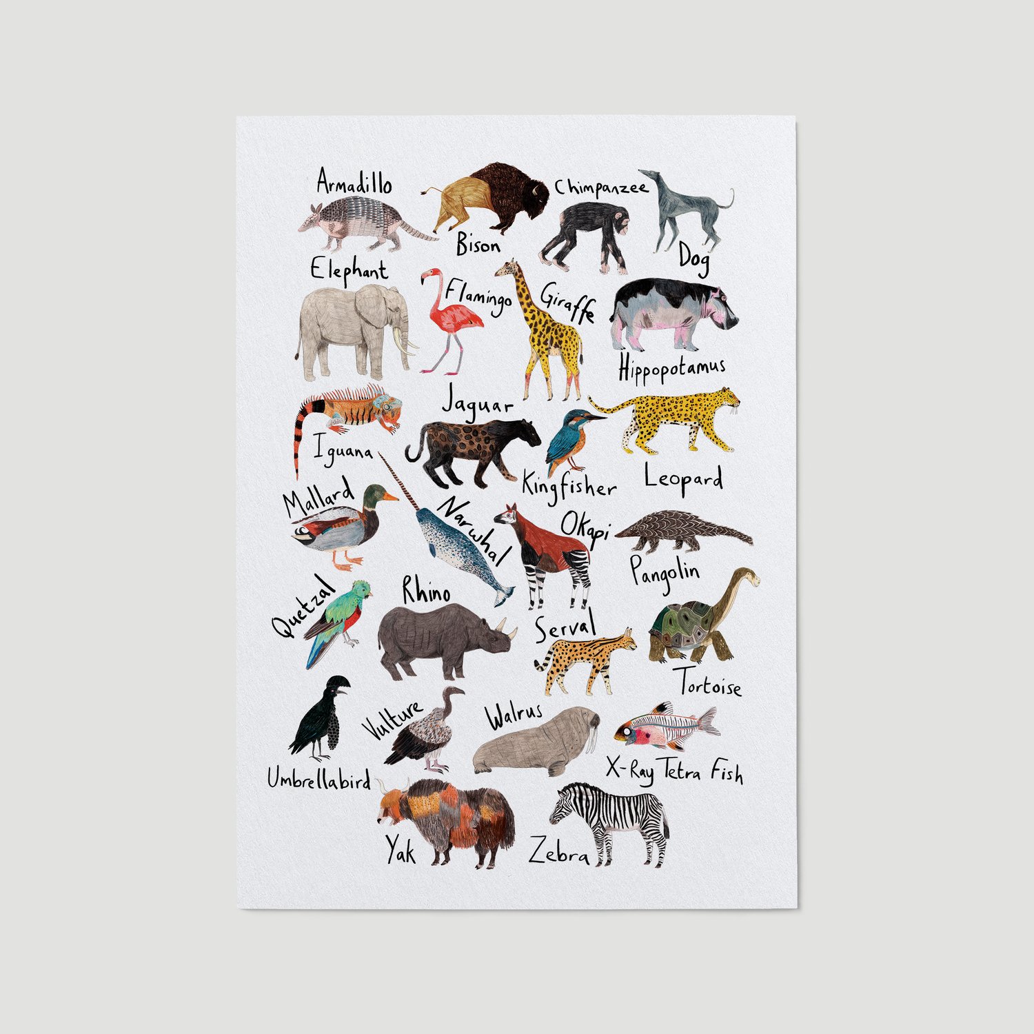 James Barker — Animal Alphabet Print