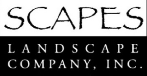 Scapes Inc