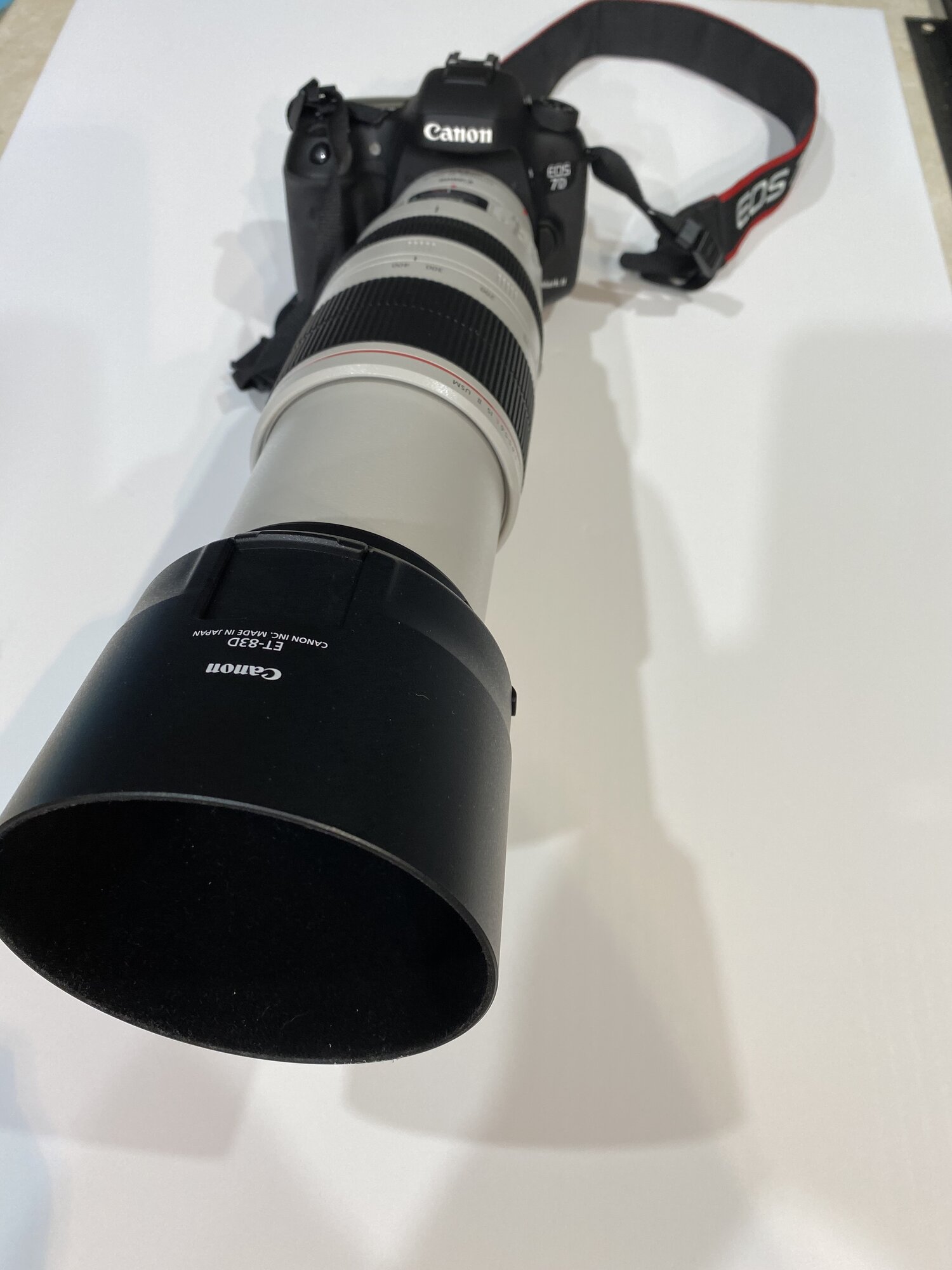 Canon EF 100-400mm f/4.5-5.6L II with Extender EF 1.4 x III Review — Ed  Obermeyer