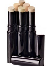Painted Earth Mineral HD Concealer