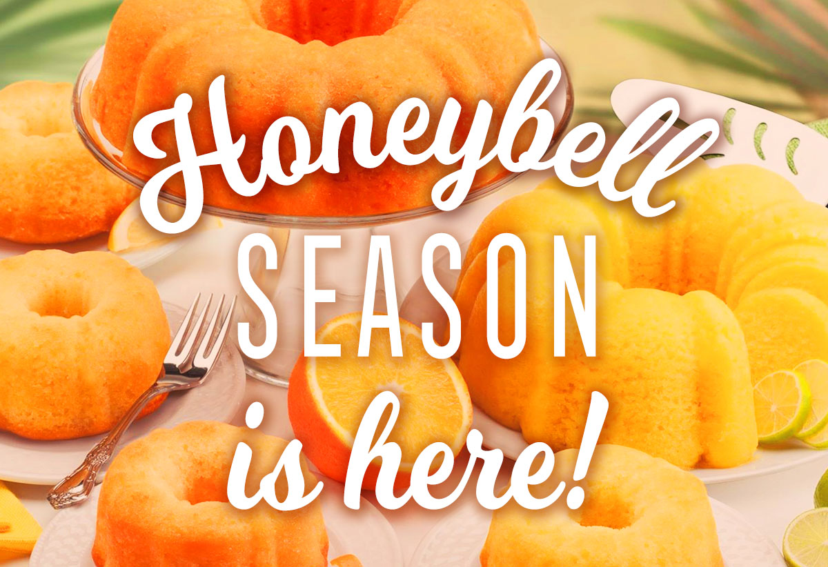  Florida Honeybell Season is Here 