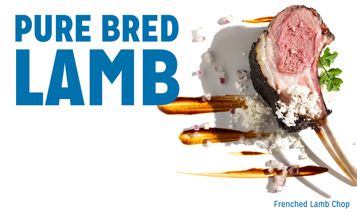  Pure Bred Lamb Shipped Nationwide 