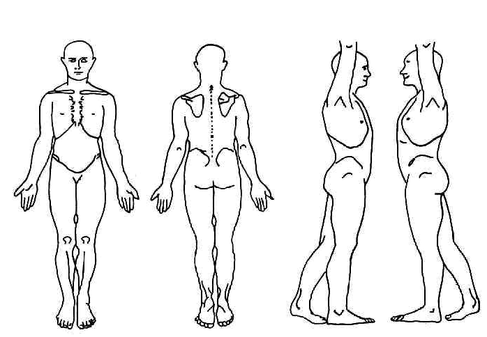 Body Parts Diagram Blank / ImageQuiz: Outline drawing tool - It refers
