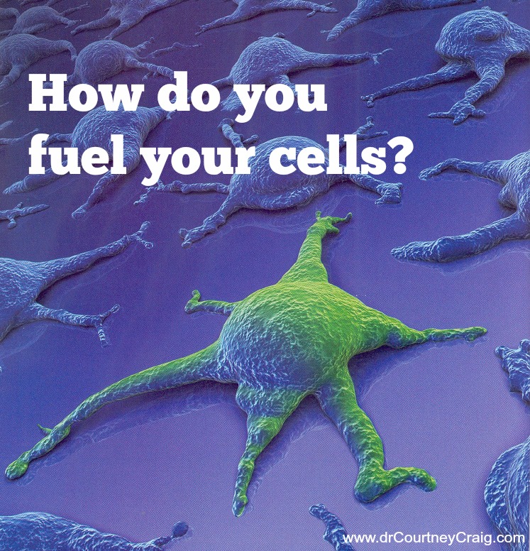 cell fuel