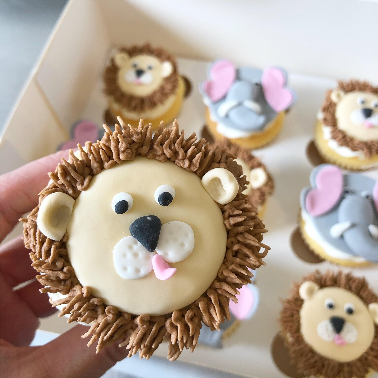 Lion Cupcakes — Burnt Butter Cakes