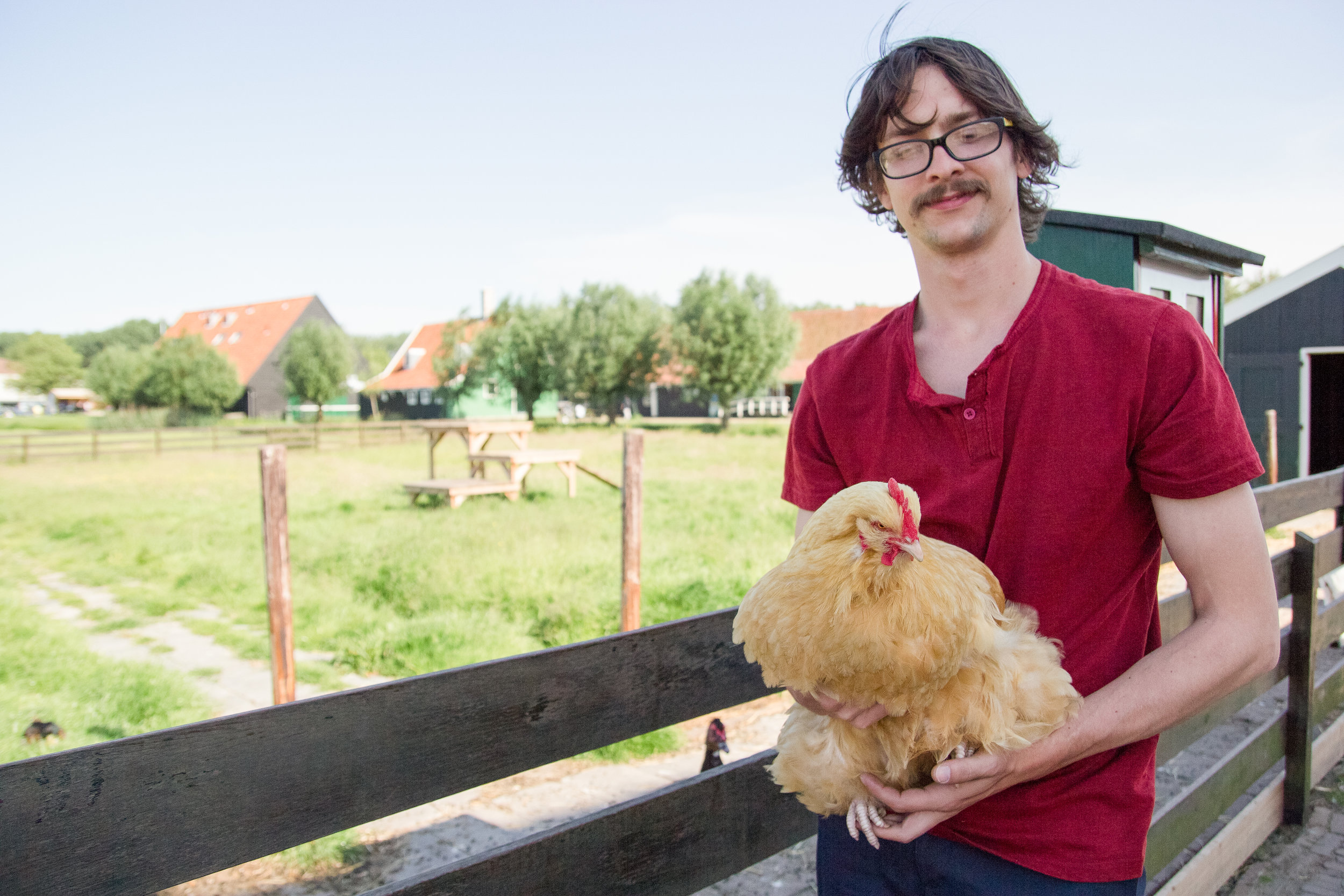  This is a chicken. Chickens make me happy, which is why my usual RBF is not present. Unfortunately, to make up for my nice smile, I have been caught in the middle of blinking and look like I might be a reptilian overlord in charge of the New World Order. 