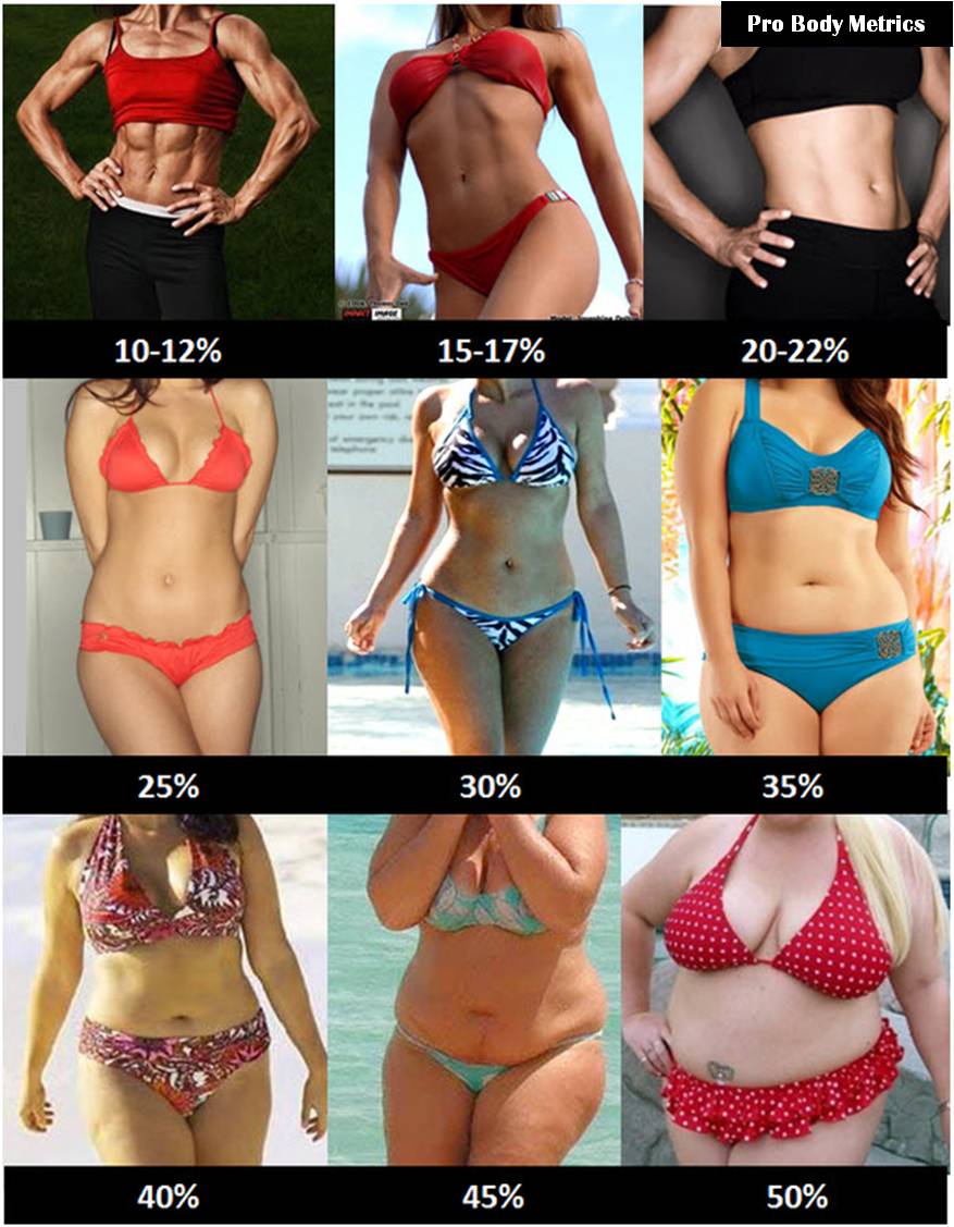 Average Body Fat Woman 110