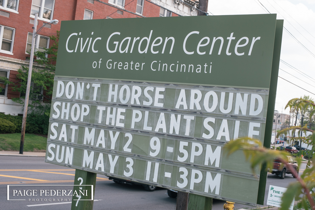 Cincinnati Event Photographer Cincinnati Civic Garden Center