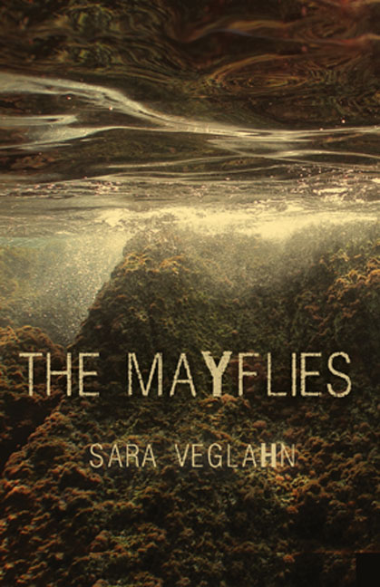 Book cover: The Mayflies