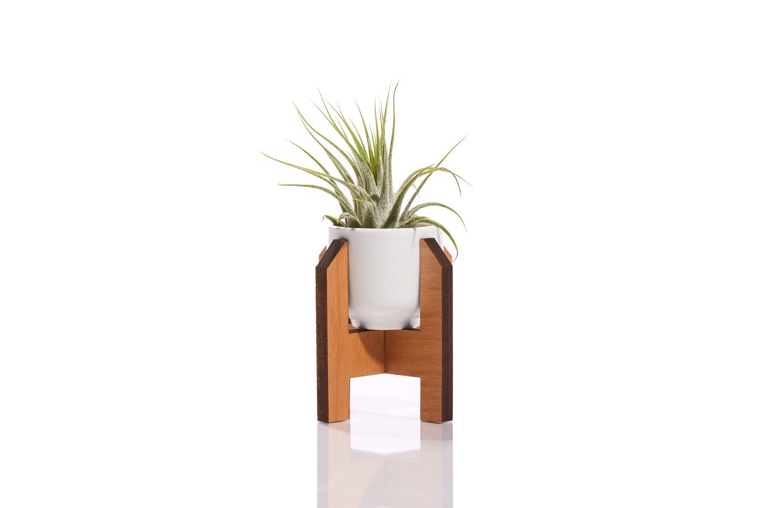 Shop Minimalist Mini Planter / Ceramic + Wood Modern Plant Stand from Lucca on Openhaus