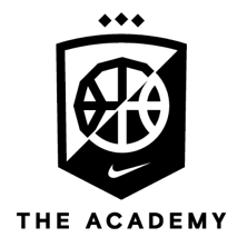 nike academy logo