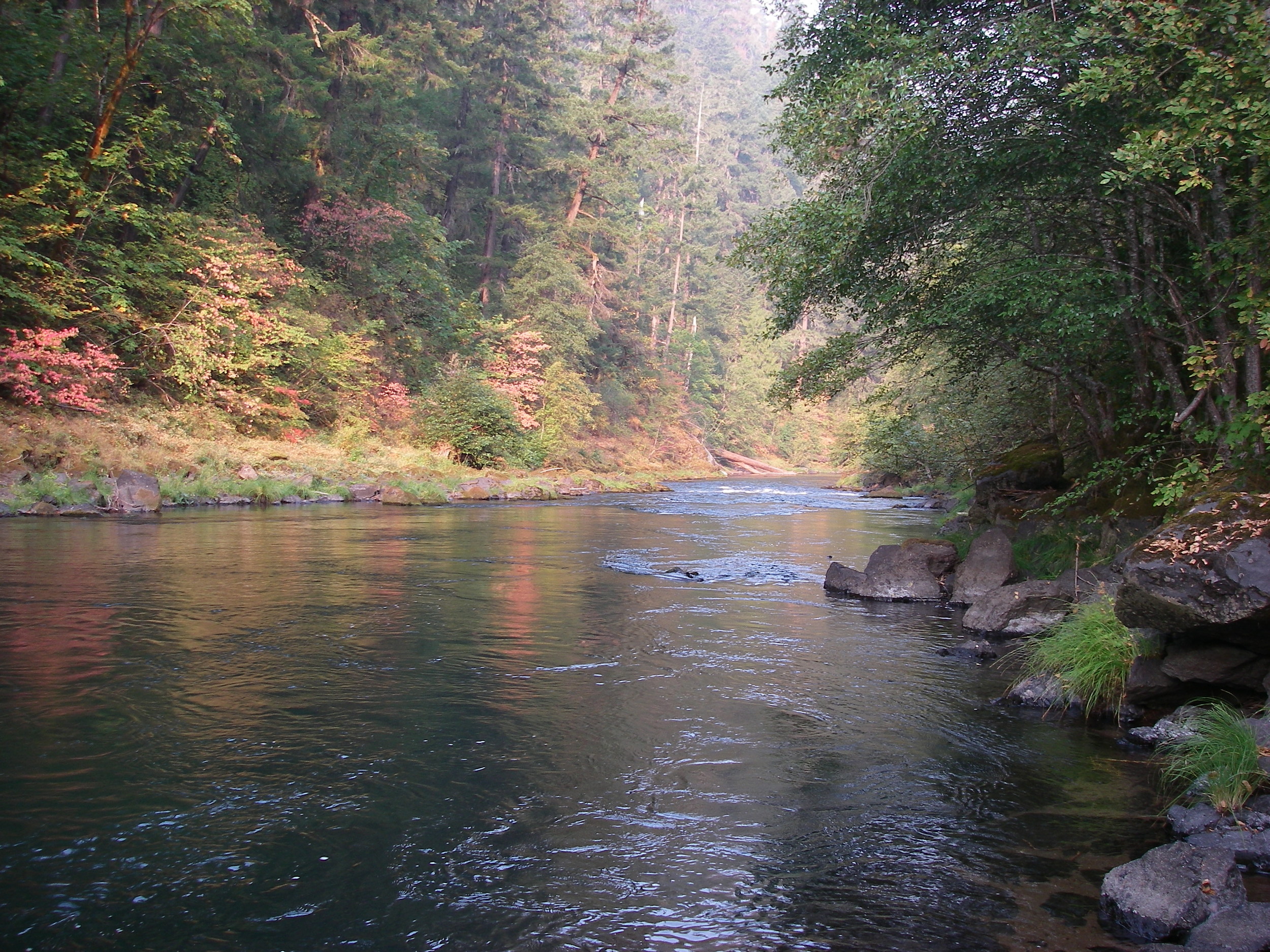The beginning signs of fall on the North Umpqua
