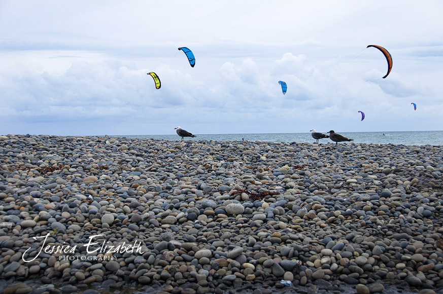 Solana_Beach_Kite_Surfing_and_Birds.jpg