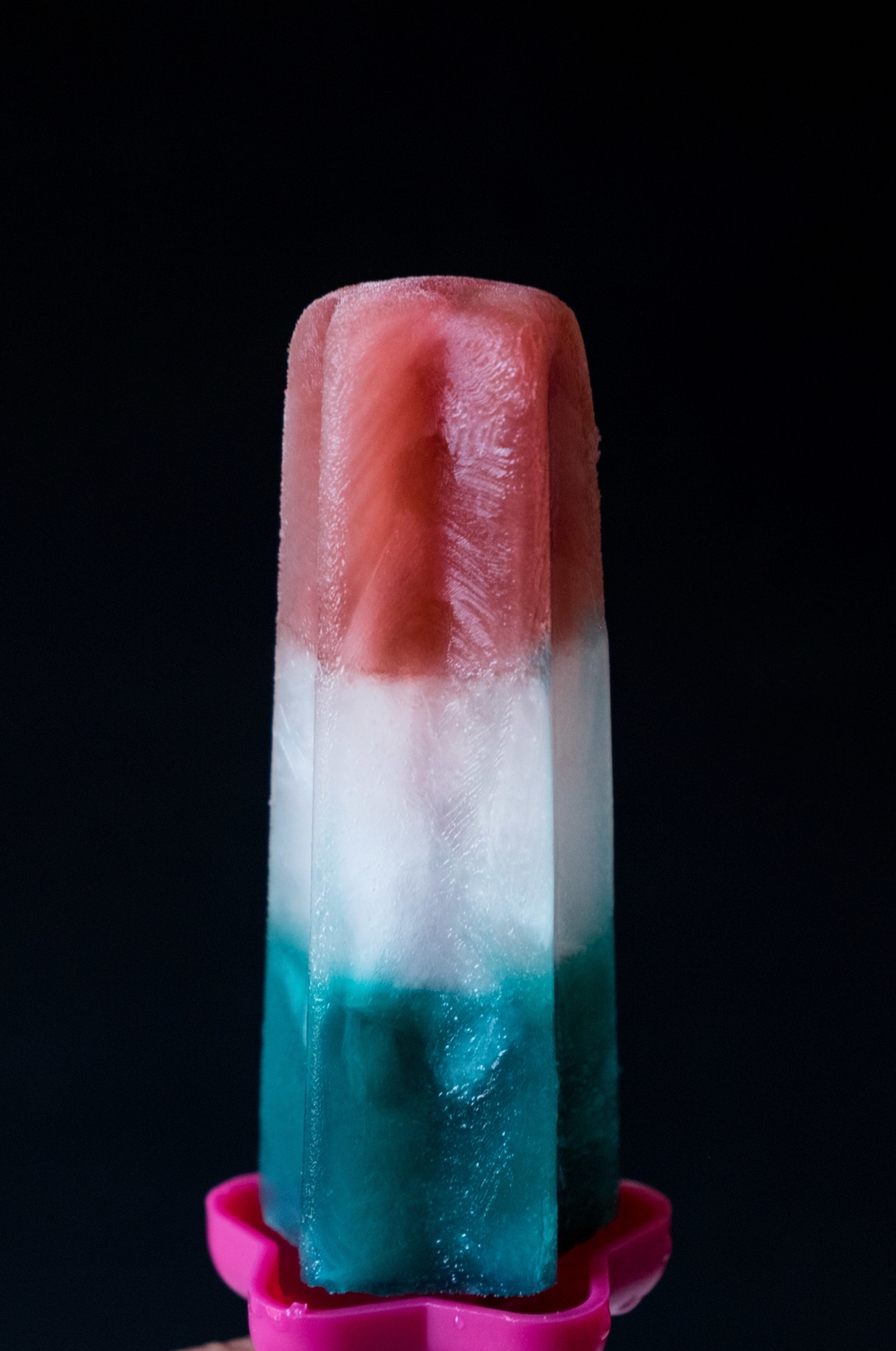 Red White and Boozy Popsicles-0041.jpg