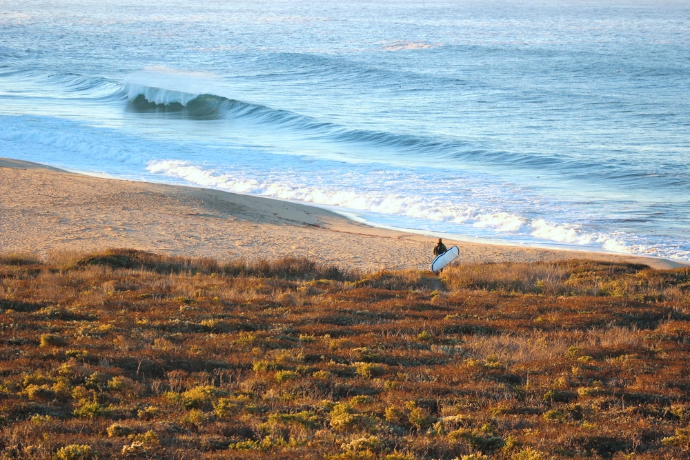 photo de surf 17859