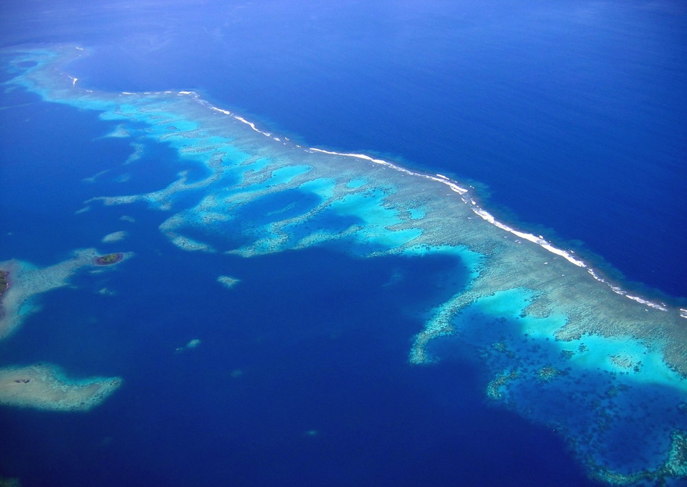 Dive Fiji's Rainbow Reef