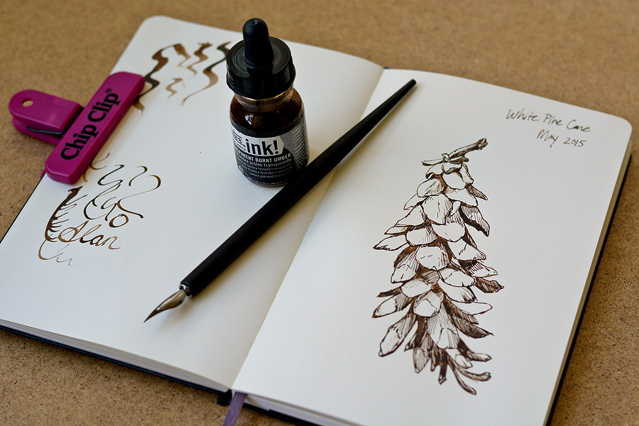 What Ink is Best for Dip Pen Drawing?