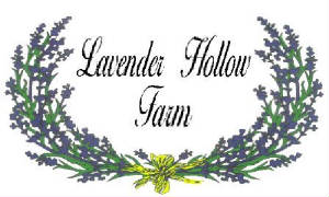 Lavender Hollow Farm