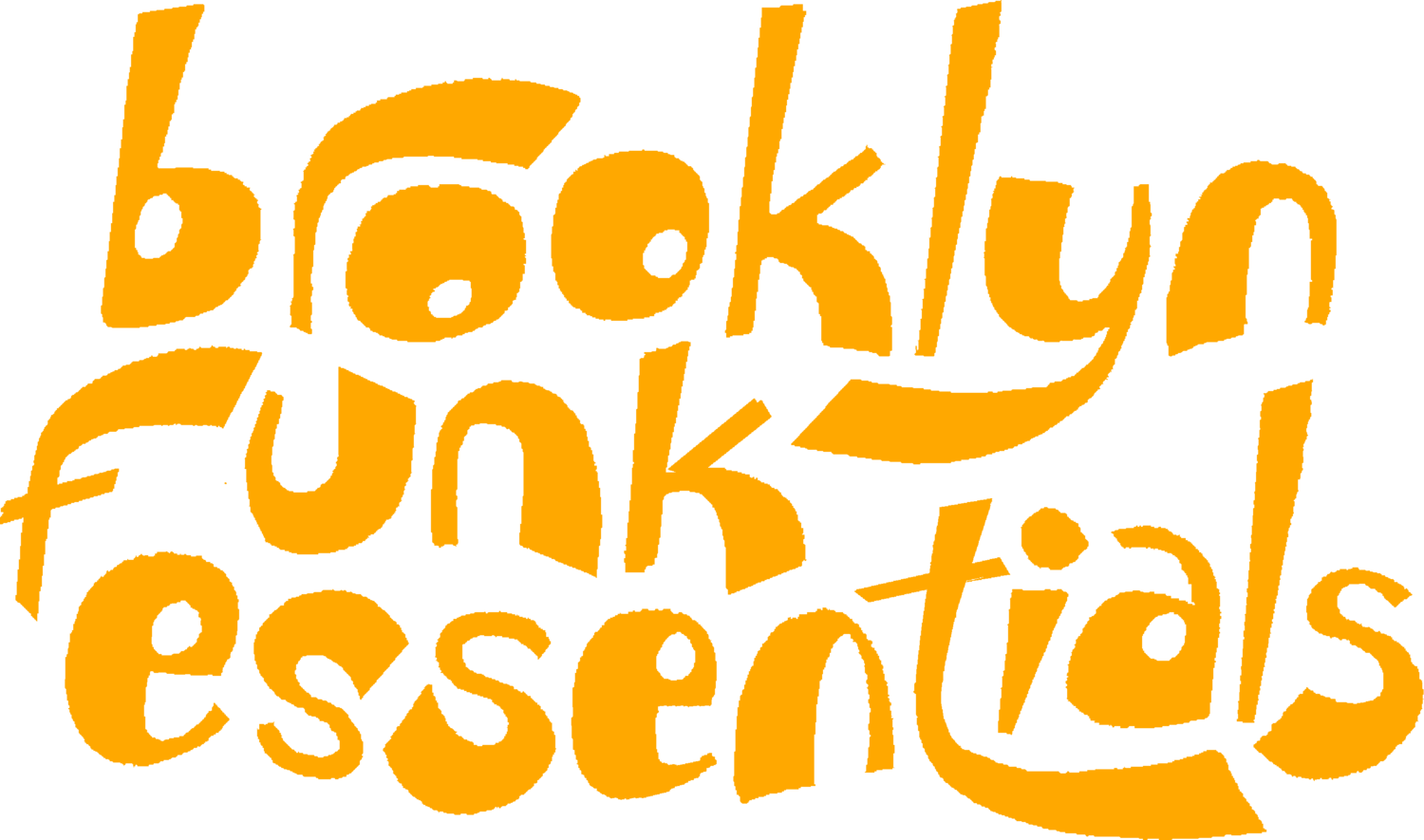 Résultat de recherche d'images pour "brooklyn funk essentials"