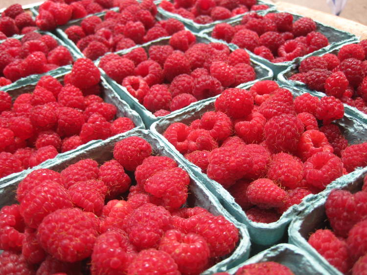 raspberry cartoned close up.jpg
