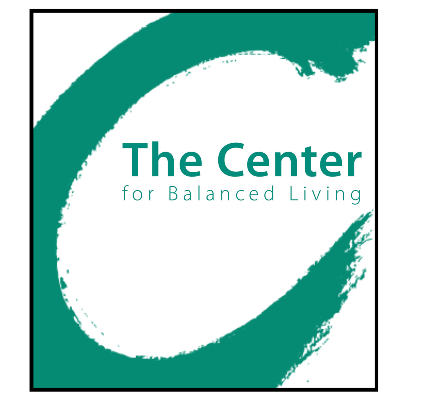 Funding the Mission - Coming Soon! — The Center for Balanced ...