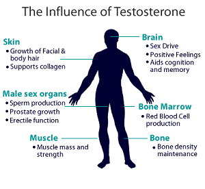 Symptoms of low testosterone levels in females