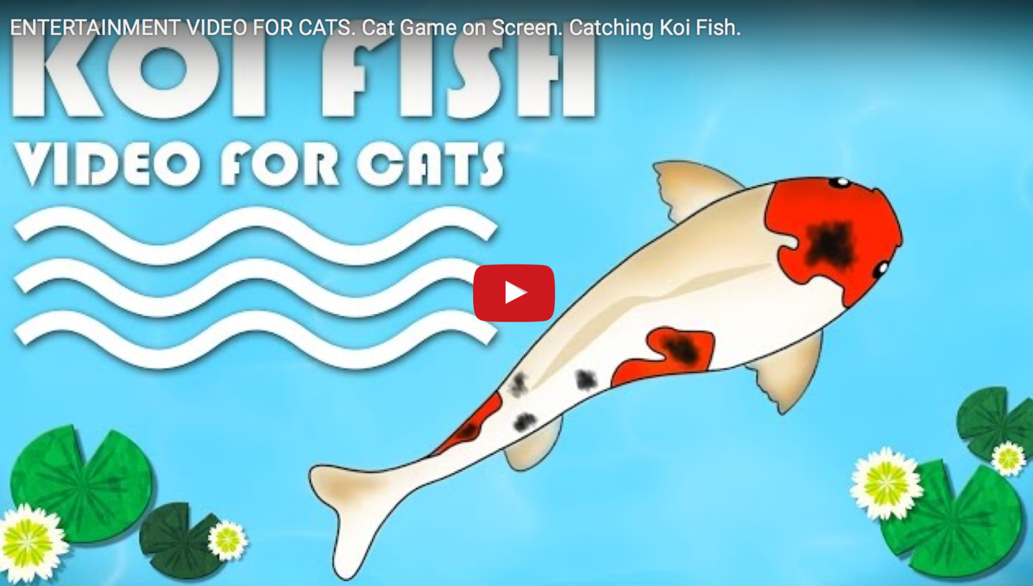 FISH GAME FOR CATS ONLINE - Catching Koi Fish. — TV BINI