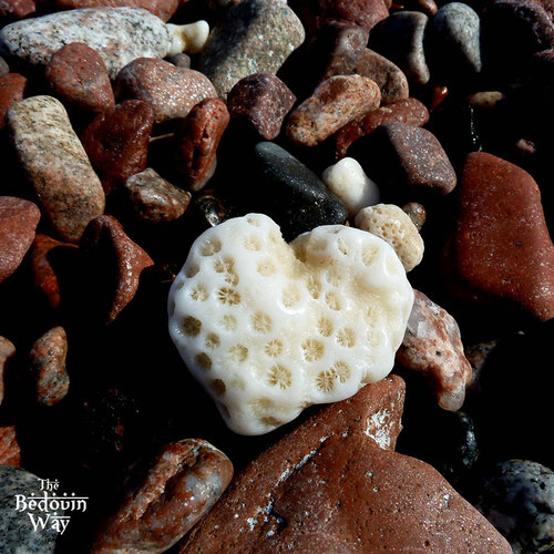 love-heart-shaped-coral