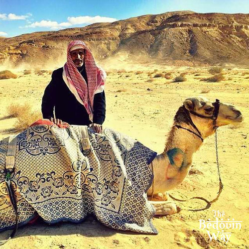 camel-race-wadi-zalaga