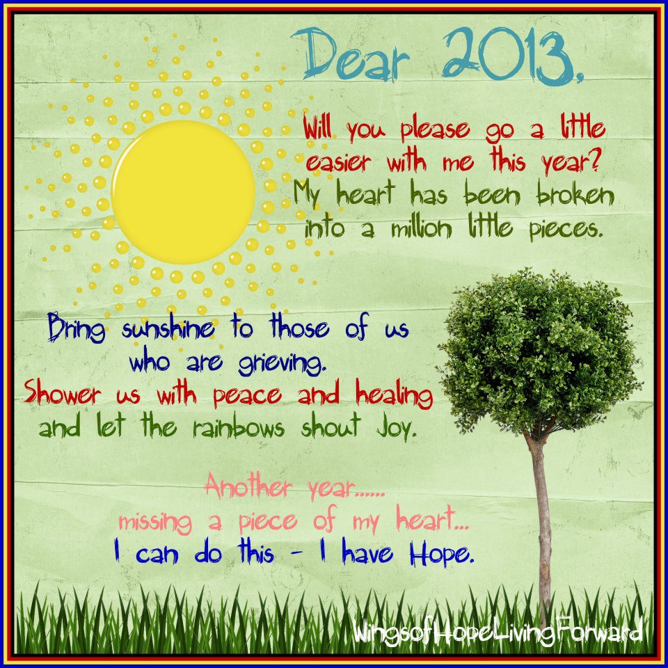 dear 2013