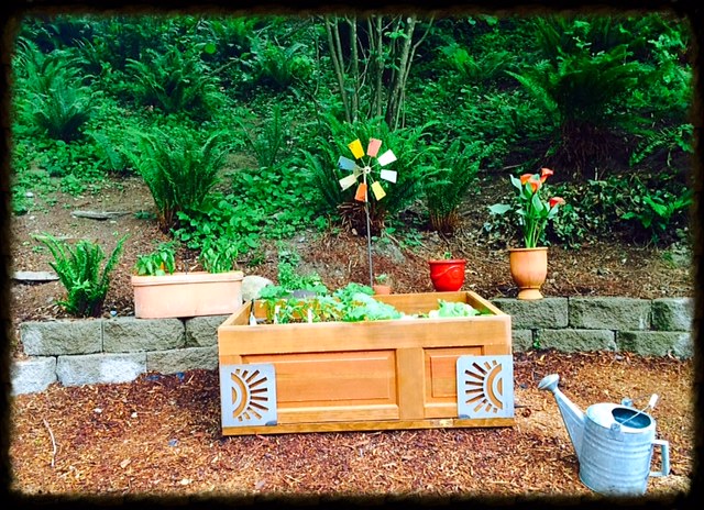 This is my garden box in the back yard that Mr. Dashing made for me out of one of our old doors. Sweet and Sassy picked the plants and placed them where they wanted. I'm the one who does the watering. :)