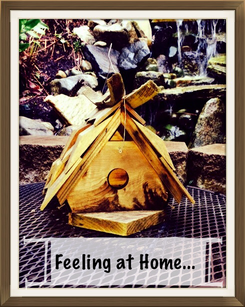 Just start creating with what you have at home. I created the pictures in this blog with my phone camera and a free app called Aviary. I create these pictures for fun, for this blog, and to bless the world with beauty and words. But mostly because it's just fun!
