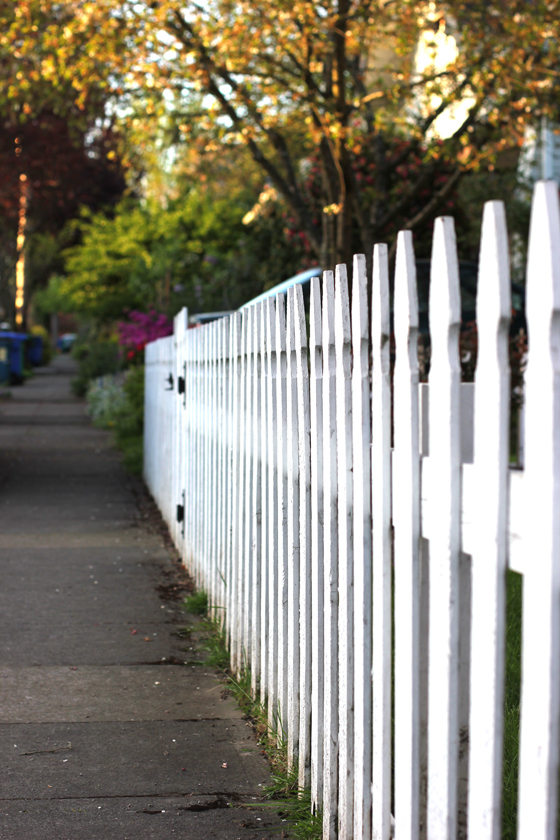 white picket fence, bikepretty, sidewalk, neighborhood, spring, grass, sunset