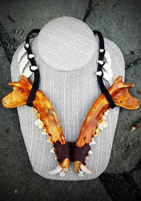 Raccoon Jaw Necklace