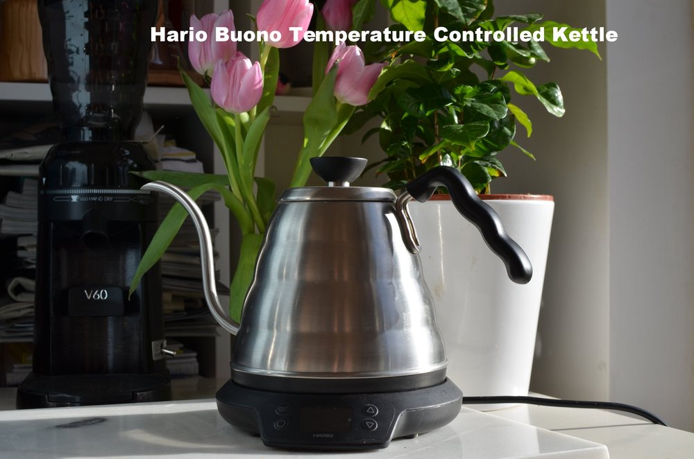 hario electric kettle temperature control