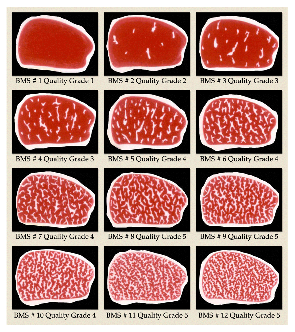 Steak Grade Chart