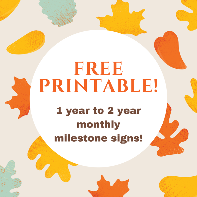 baby-s-first-to-second-year-series-free-printable-baby-milestone-signs
