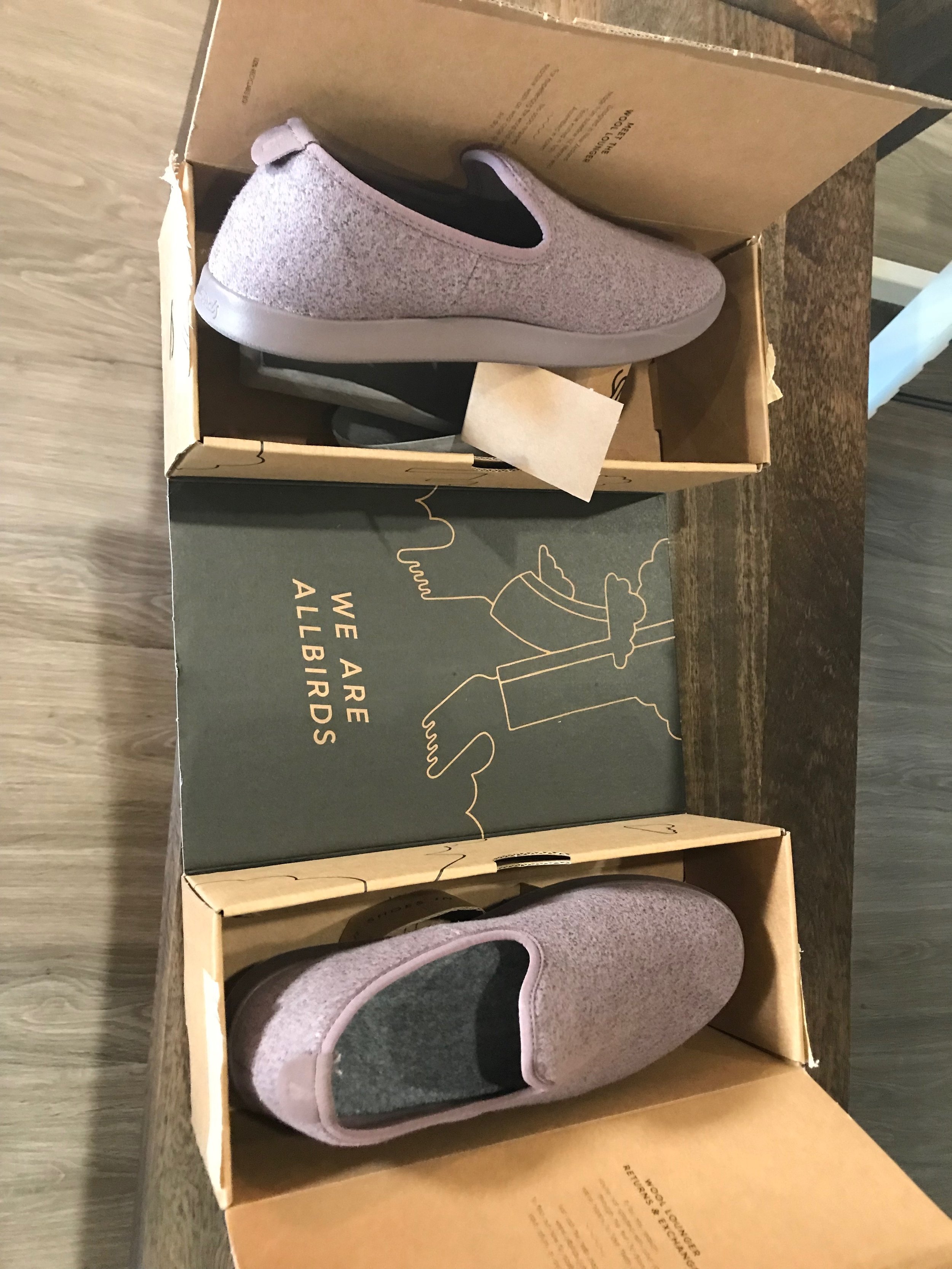 we are allbirds shoes