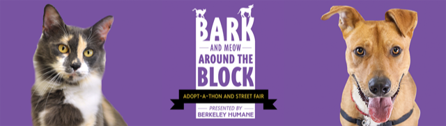 Bark (and Meow) Around the Block — Ronnie's Awesome List
