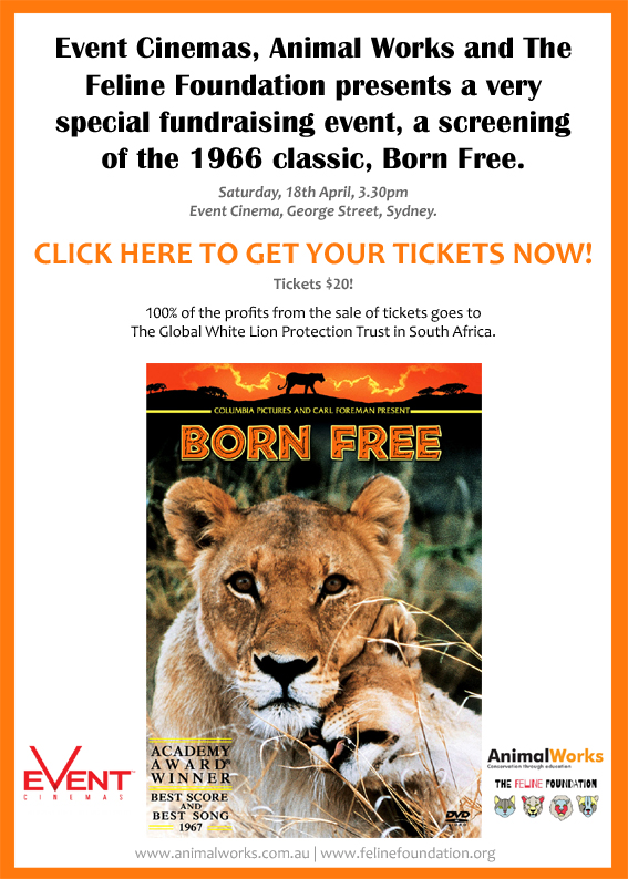 Born Free - a special fundraiser — African Cat Project