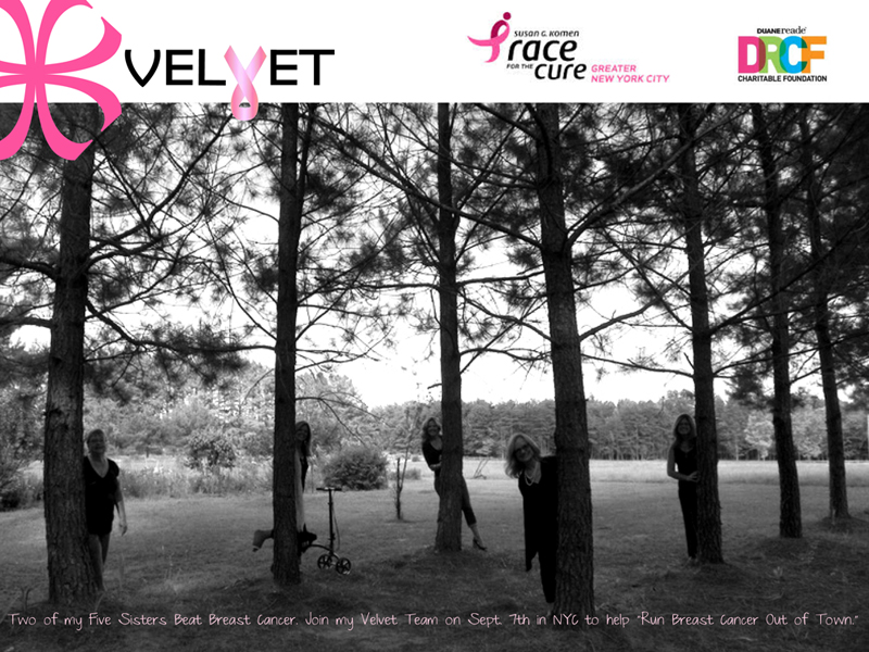 Join the Velvet Team on September 7th, 2014 in NYC at Central Park to help 