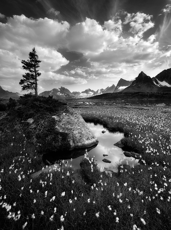Dyster Nøgle Stol Black & White Nature Photography Portfolio #1: Grand Landscapes — Sarah  Marino & Ron Coscorrosa Photography