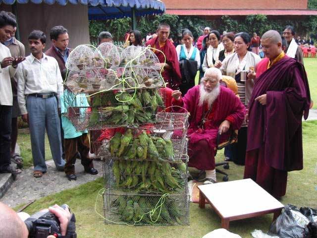 Image result for kyabje chatral sangye dorje rinpoche